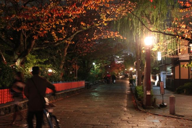 夜の白川。<br /><br />夫はぐいぐいチャリで走りまくるので<br />迷子になりそうです。<br />なんでそんな道が覚えられるのか…<br />（写真撮ってたら置いていかれます。）<br />