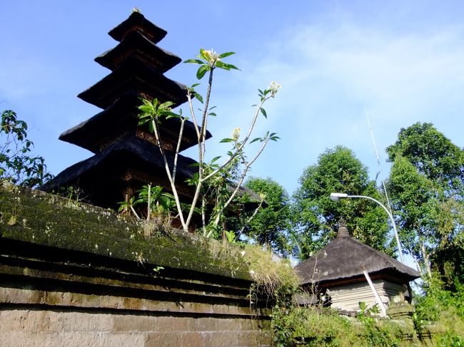 Sambahan通りから入り、Abanganという場所に出るという初心者向けのコースです。<br /><br />朝8：00にホテルに迎えの車がやってきました。<br />車で5分くらいの所が出発地点なんですが、<br />ウブド中心にこんなのどかなところがあるなんて、<br />と思いました。<br />