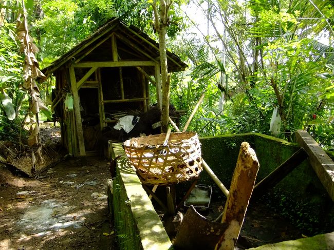 こちらも家畜小屋です。