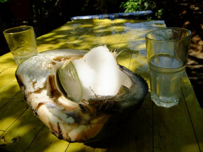 果実がプリプリでおいしかった^^