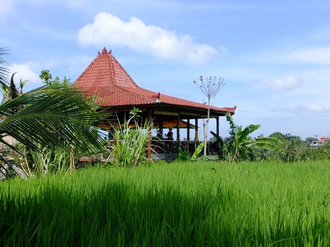 今回立ち寄ることになっていたサリ・オーガニックというカフェが見えてきました。