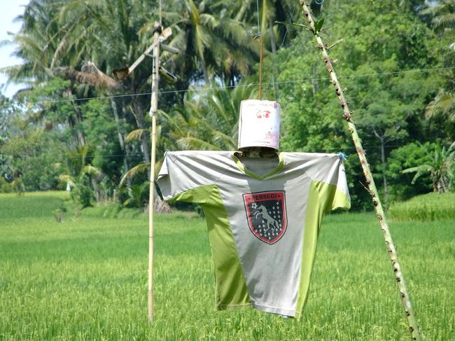 無事にトレッキングを終えました。<br /><br />次はグヌン・ルバ寺院へ向かいます。