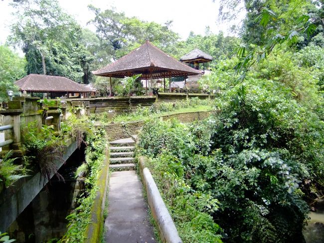 森の中にあるこの寺院は、<br />ウブド発祥の地とのこと。<br /><br />重要な寺院なんですね。