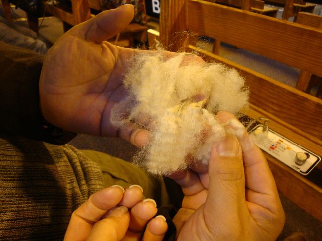 座席、皆に、今刈られた羊の毛が回されました<br /><br /><br />少しずつ取って、後ろに回して・・・って言われて<br /><br />私達も少し貰って、渡します。。<br /><br /><br />はい！お土産！って頂きました！<br /><br />結構、羊のうんちの匂いがしてくさいし、油が付きます・・<br />まあ、油は、肌に良いラノリンクリームなので良しとしますが・・<br /><br />持ち帰るのに、密封袋に入れてバックへ。。。