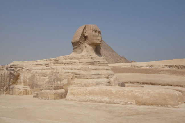 思っていたより小柄なスフィンクスですが、<br />ついに来たか、と感慨深い。