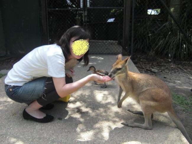 放し飼いですよ。<br /><br />エサを１AS?で買って、モグモグタイム☆<br /><br />可愛い〜