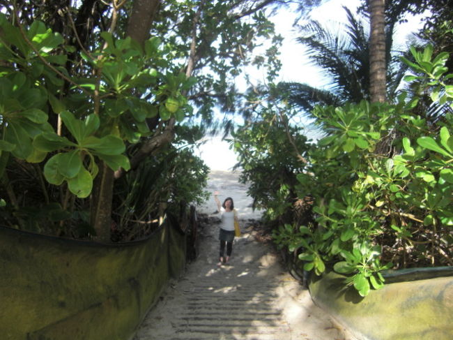 フォーマイルビーチにつながる道もある。<br /><br />これで1日ツアーは終わり<br /><br />ケアンズに戻ります。