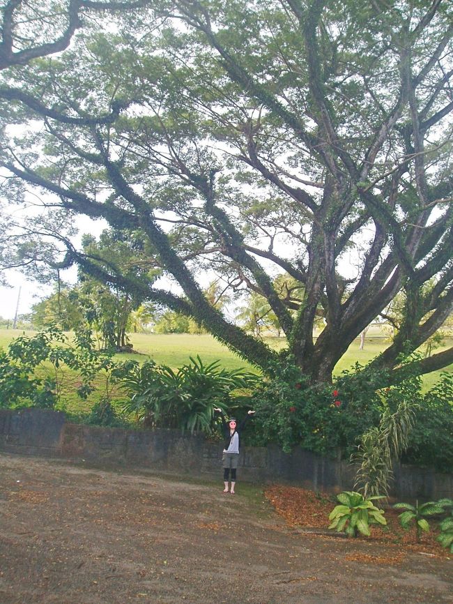 ちゃうかったけ？