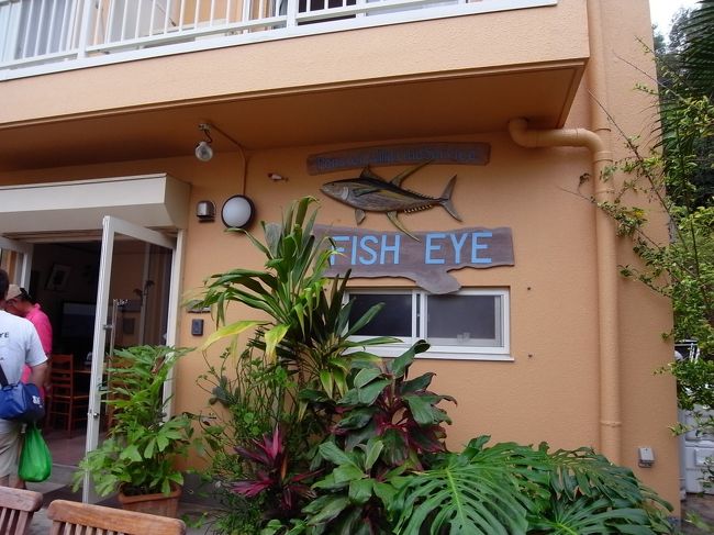 今回お世話になったのは、宿もダイビングもイルカもクジラもひっくるめて面倒みてくれるフィッシュアイさん。