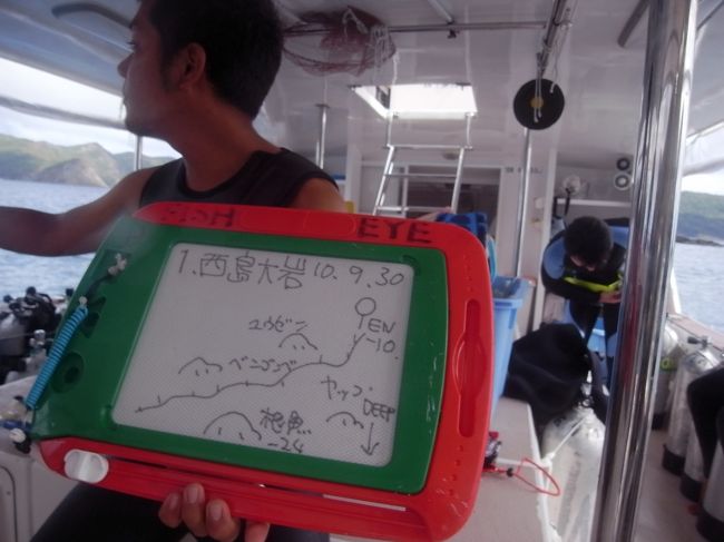 １本目、父島周り西島大岩。<br /><br />ガイドのシゲさん、まつげ長いですね。<br />カール具合もいい感じ。<br /><br />じゃなくって、海にきてるんだった。<br />