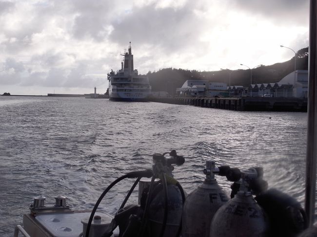 初日は小笠原名物を満喫したダイビングでした。<br />港に戻ってくると、乗ってきたおがさわら丸がでーんと停泊してます。<br />ずーっとあの中にいたので、外から見ると新鮮。