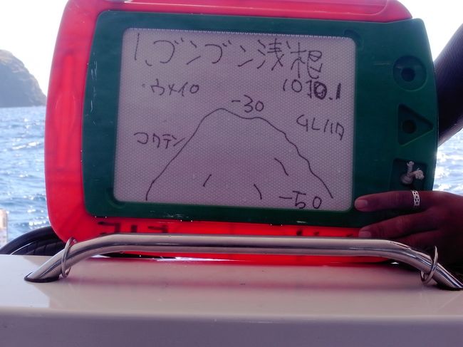 １本目、ブンブン浅根。<br />ここは本当は潮の流れが激しくって、それでポイント名がブンブンっていうそうです。<br /><br />小笠原のリピーターもここに潜れるのはレアなことだそうで、初めての小笠原で潜れるなんてラッキーだよーって言われましたが、有難味がわかってなくってすみません・・・