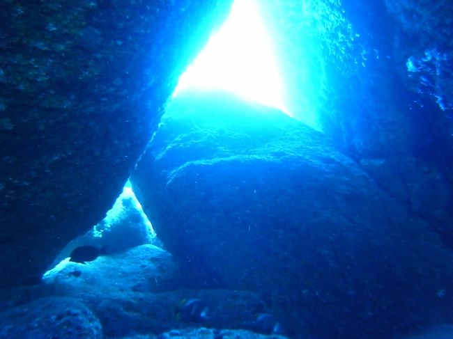 ここは地形を楽しむポイントなのかしら？