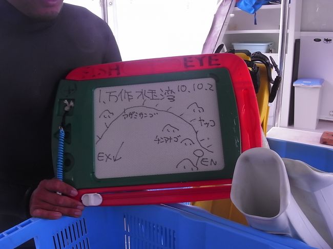 体調に不安を抱えながらの、１本目、万作水玉湾。<br /><br />案の定、おでこ痛い〜！！<br />サイナススクイズってやつです。<br />何度も強めに空気送ることでなんとか潜れましたけど・・・