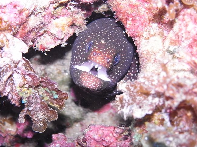 まったりポイントで、みんな思い思いに色んなものを撮影してます。<br />私もこんなん撮ってみたり。