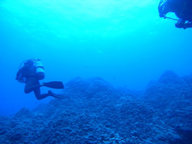 おでこ、浮上の時は痛くならなくってよかった〜。<br /><br />あがってきて、ほっとしてティッシュで鼻かんだら、血〜！！！<br />なんじゃこりゃぁー！！<br />あとでシゲさんに、女性に言うの失礼かと思って言わなかったけどって、鼻血たらしてるところバッチリ見られてたみたい・・・<br />こういうの自分じゃ気づかないから恥ずかしいですよね。<br />