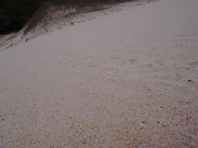 砂浜をよくよく見てみると。<br />子ガメが海に戻っていくときの足跡だそうです。