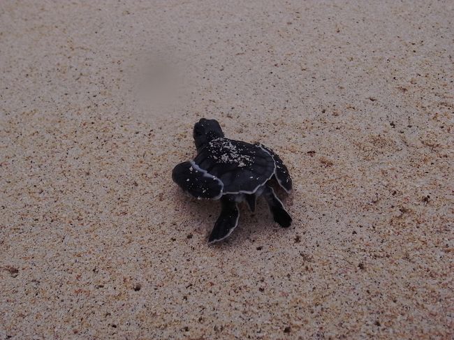 なななんと、出会っちゃいました☆