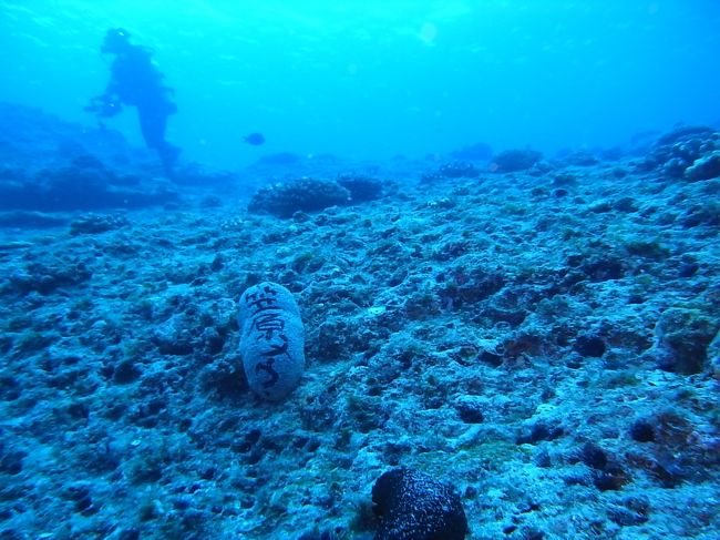 小笠原ナウ？なんだろう、これ？<br />でも、とりあえず記念撮影。