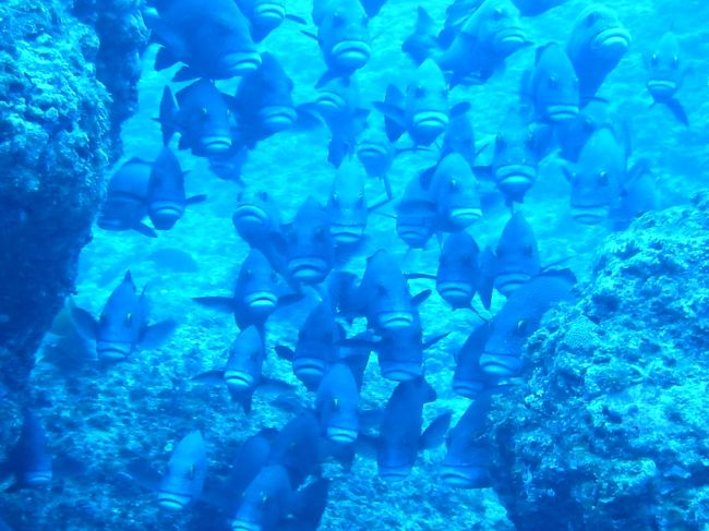 ぎょぎょっ！！！！<br />