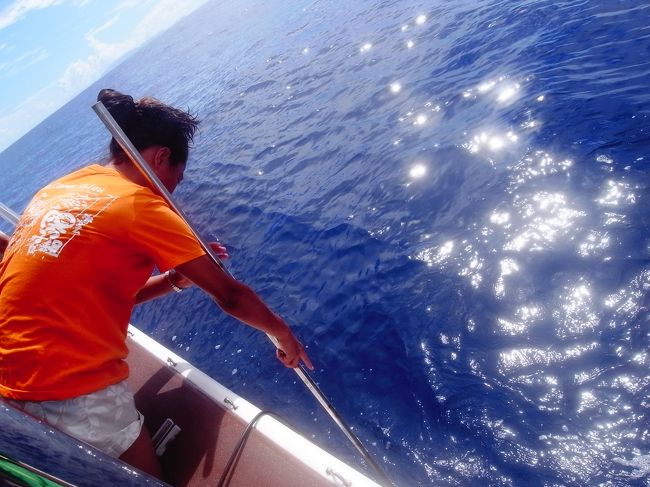 マッコウクジラはなんと水深1000メートルまで潜るらしく、このあたりはつまりそのぐらいの深さの海ってこと。<br />すごーいキレイです！グランブルー！いやこれこそがボニンブルーなんだわ！！<br /><br />水中マイクをいれてマッコウの発する音を探します。<br />カチカチカチカチカチっていう時計の秒針のような音。<br />スピーカーを通して聞こえてきます。まだ遠いけど、この広い海の中でみつけた！<br /><br />海入ると直に聞こえるよってことで、飛び込んじゃいました！！<br />ただただボニンブルーの青い世界に太陽の光線だけがきらきらしてる。<br />水底ははるか1000メートル先で、もちろん下を見ても青以外何もない！<br />耳をすますとカチカチカチカチっ、かすかに聞こえる〜。<br />もちろん怖いけど、ドキドキとワクワクと！<br />わたし、すんごい経験しちゃった〜〜〜♪♪♪