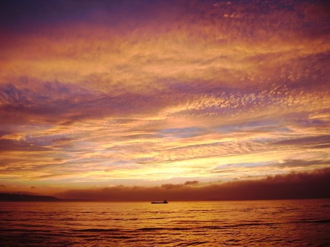 海と空をこんなに見ることもまぁないだろうなぁ。<br />東京が近づいてきて、夕暮れ空もきれいだなー。<br /><br />？？？<br />昼に乗って２５時間半なら昼に着くはず。<br />そうなんです、なんとエンジントラブルで４時間遅れ・・・<br />２９時間半に及ぶ、ちょーロング船旅でございました。。。<br />竹芝に着いたの夜の８時ですからとっぷり日も暮れていて、結果的に東京湾の夜景まで楽しませてもらって。。。<br /><br />これにこりず、クジラに会いに私はおがさわら丸に再びのることがあるのだろうか。