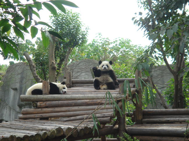 さすがにうるさくて気が散るのか、<br />上に上って続きを食べてます。<br /><br />お腹がちょっと茶色く汚れてるのがまた可愛い。
