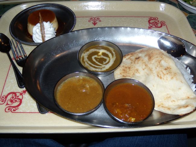 船や電車に乗りながら移動して、タートルトークへ。<br /><br />終わったら、ミステリアスのショーへ<br />が、、、<br />まさかの雨。<br /><br />前もそーだったのよ。<br />ショー抽選も当たらない。<br />当たっても見れない。<br /><br />最近ずっとそうなの。<br /><br />マジックランプシアターへ行って、カレーを夕飯にしました。<br /><br />なかなかスパイシーです。<br />美味ですよ。