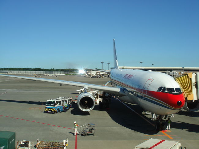 フライトは今回１００％ディレイです。<br />最高３時間。<br /><br />機材のチェック・霧で滑走路視界不良・<br />空港が混んでいるので離陸許可が下りない・・・など。<br />　<br />最終日の成田行きも２時間半くらい遅れ、今日は終電がないから帰れない、と嘆いてる人もいました。<br /><br />でも中国国内線では半数以上の割合で遅れるらしい。<br />空港内には店も少ないので、ただただ暇。<br />機内で１時間以上待つことも多く、<br />本などの時間つぶしになるものを持ってくることをお勧めします・・・<br />