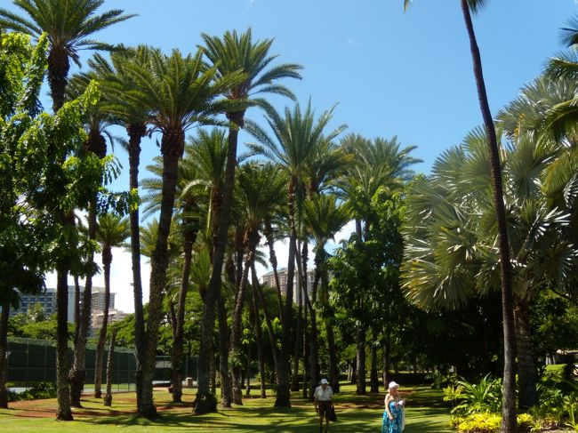 南国だ、南国だ。