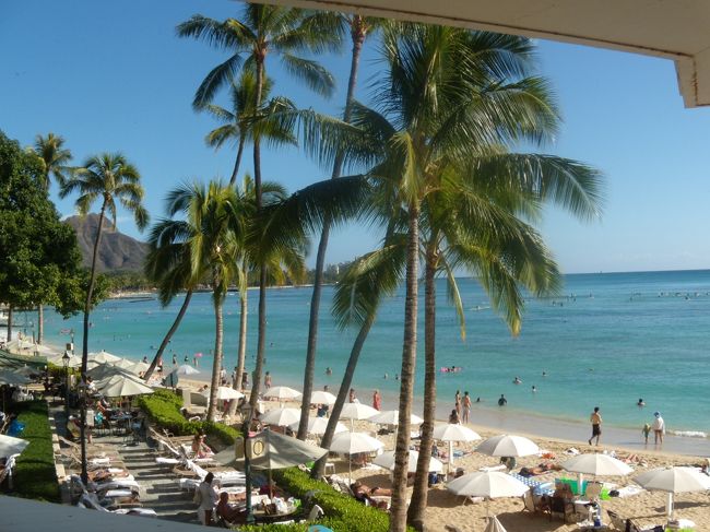 ずっと見てたい。<br />