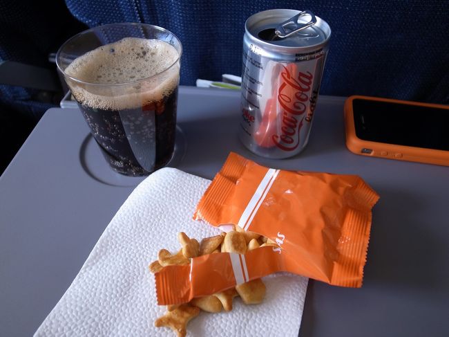 結局空港で6時間位ぼけーーーっと過ごして<br />この天気だったからしょうがないよ。<br />と自分を慰め、<br /><br />15:45発のスカンジナビア航空で成田へ。<br /><br />