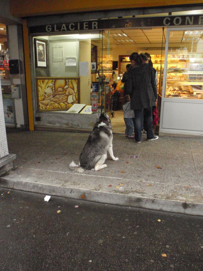 途中のパン屋さんで大きな犬が行儀良く座っていました。ちょっとなでなで。