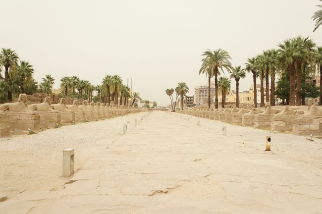 ルクソール神殿。写真はスフィンクスの参道です。ガイドさんの話では今もまだまだたくさん掘り起こされている途中だそうです。信じがたい光景で驚くばかりです。途中でお土産屋さんにつれていかれるのですが石のお店でしたがお店の人がすこしも離れてくれず、でもほしい物もなくすごく気まずい時間でした。帰りに金のお店によってもらって小さなかわいいネックレスを購入しました。うれしいなぁ。帰りはMS356 18：50発の飛行機が2時間遅れました。でも途中で放送があり一人一個飲み物のサービスがありました。こういうところはなんだか気前がいいのね。と思いうれしく戴きました。ホテルにつく頃にはすっかり遅くなり、もっていたチョコレートを食べて晩御飯にしました。