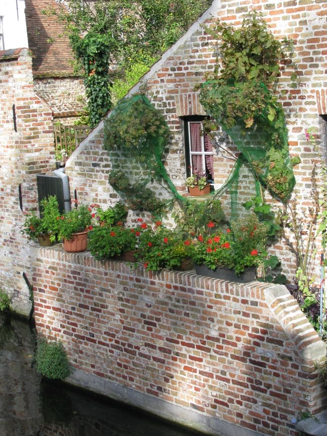 運河に面した花壇を備えた家