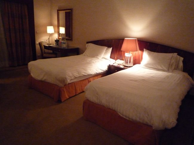 お部屋はこんな感じ。<br />広くて2泊なので、とっても快適でした。<br />最後の荷造りにスーツケース2個広げてもまだまだって感じで、とっても助かりました。<br />