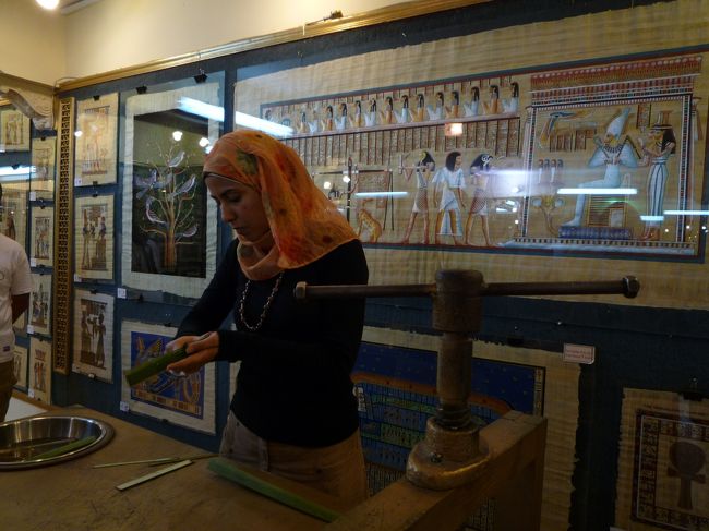 観光後はパピルス屋へ。<br />パピルスが出来るまでの工程説明があり、その後ショッピング。<br />私たちは母の誕生日プレゼントを物色しました。<br />パピルスはそんなに高くなかったですが、日本帰ってから素敵な額に入れたのが高かったです。<br />でも額にいれるとほんと素敵ですよ！