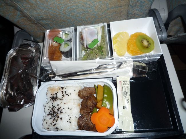アブダビ空港でしばしの乗り換え時間待ち。<br />行のターミナルより新しいのでお店もたくさんあって楽しかったですよ。（ドバイにはかないませんが）<br /><br />機内食第2弾。<br />これは和食です。アブダビから載せたのに結構レベル高かったです。