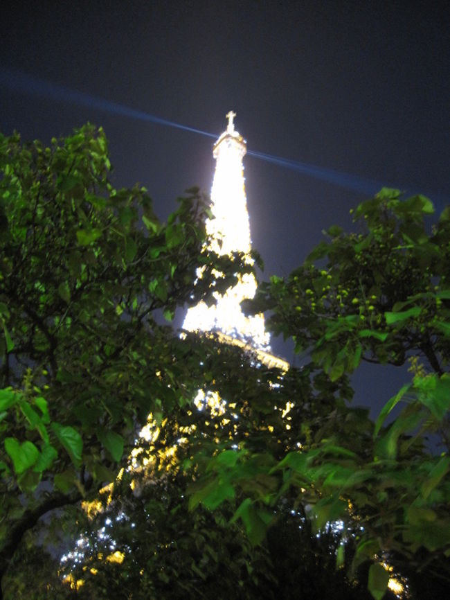 ＜エッフェル塔＞<br /><br />タイミングよく、キラキラ光エッフェル塔を見る事が出来ました！<br /><br />画像では上手く光が出ていないけど、すっごい綺麗でした！！