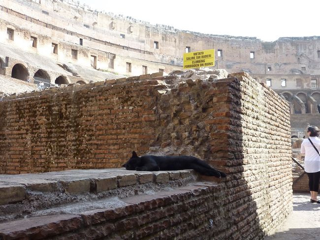 猫もだれる暑さ。