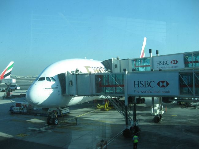 関空　２３：１５発<br />エミレーツ航空で、ドバイ空港へ<br /><br />機内では、パリを意識して「のだめ　前後編」<br />「レミー」を観ました♪<br />あとは、トイストーリー３　アリスインワンダーランドなど。<br /><br />映画を観たり、その合間に睡眠とって、<br />思ったほど長くは感じませんでした。<br /><br />ドバイに着くと、明け方の４：００だというのに気温３０度。<br />ムッとしてました。<br /><br />写真は、ドバイから私たちが乗る飛行機<br />朝の８：２０発　　パリに向けて出発です。