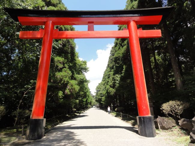 「渋滞しませんように」と祈り、霧島神宮に約1時間で到着。<br />神様ありがとう<br />