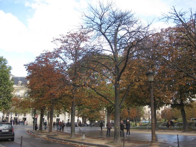 モンテーニュ通りへ。<br /><br />お目当てのブランドで、お目当てのお財布に<br />出会えました♪