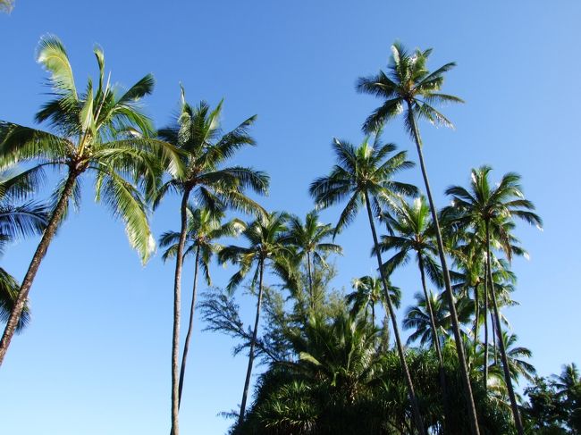 コナの天気は雨が多いのですが、この日は快晴。<br /><br />