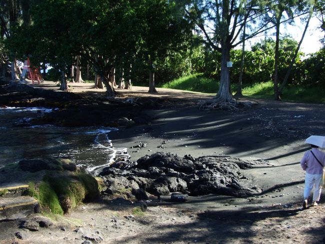 運がよければ、カメに会えるはず。<br />でも、残念でした。<br /><br />