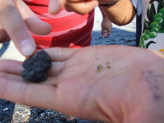 ガイドりりこの説明によると、黒砂海岸はよく見ると緑の石があるそうです。<br /><br />ペリドットと溶岩が細かくなっているんだって。<br /><br />りりこの手には黒と緑の石があります。