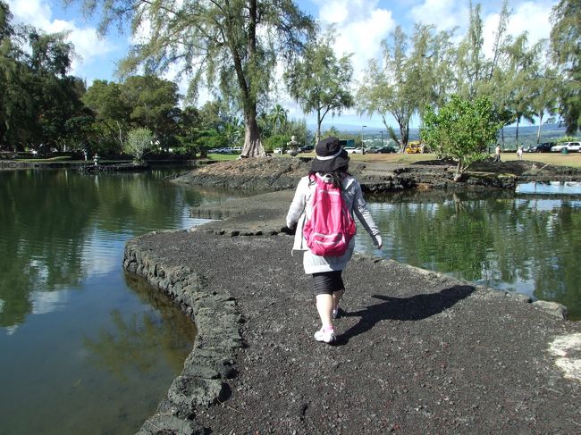 日本庭園<br />池には小さな魚がうようよしてます。<br />