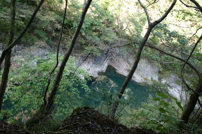 美しい渓流　水が澄んでいて深い緑色をしていました。