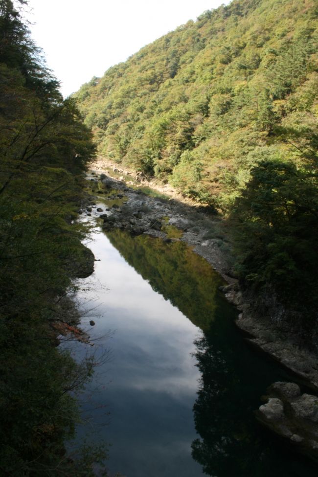 例年なら本当に美しい紅葉が見られるそうです。