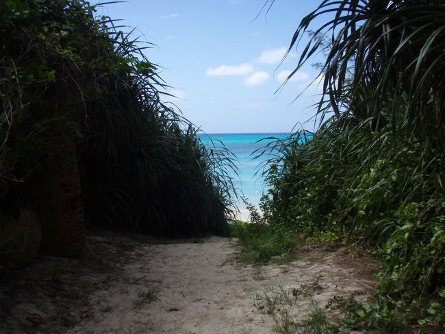 渡嘉敷島に着き、バスで阿波連ビーチへやってきました。<br />今回、1日しか余裕がなく予め往復高速船とビーチハウス利用、ボートシュノーケリングがセットになった現地ツアーを申し込んでいました。<br />この光景で、もうワクワクです！